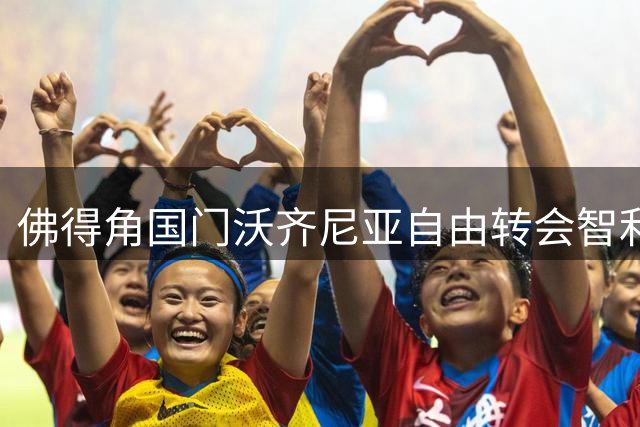 佛得角国门沃齐尼亚自由转会智利豪门 开启南美新征程
