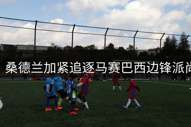 桑德兰加紧追逐马赛巴西边锋派尚