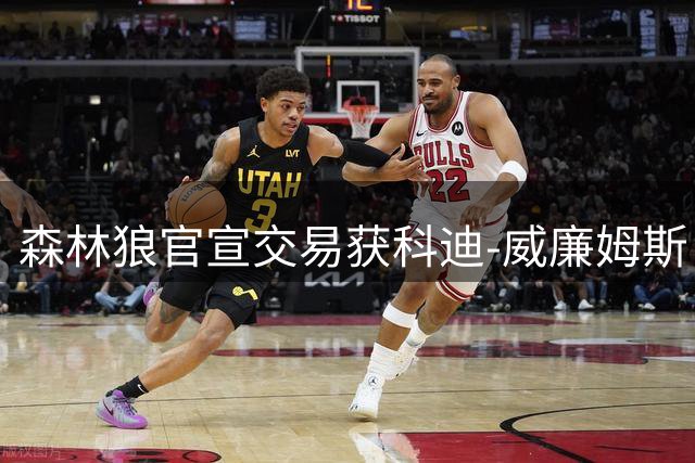 森林狼官宣交易获科迪-威廉姆斯 发布欢迎海报